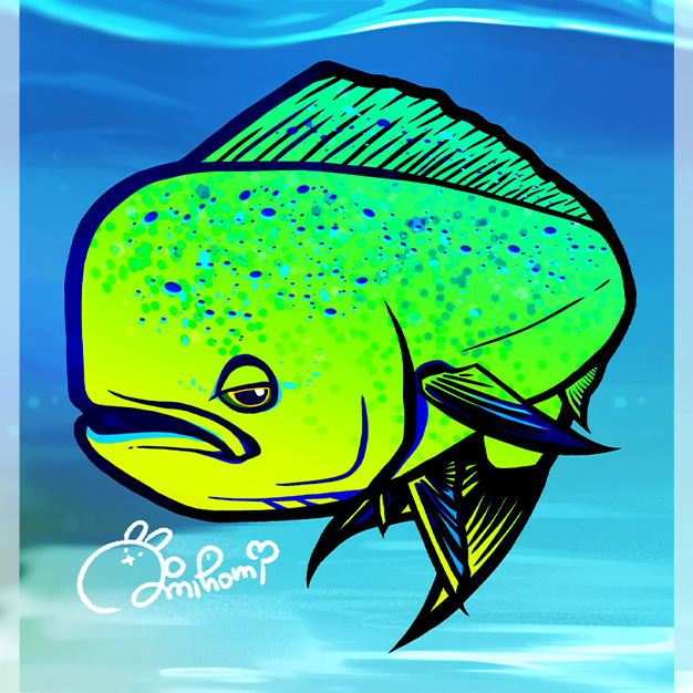 【MAHI-MAHI】